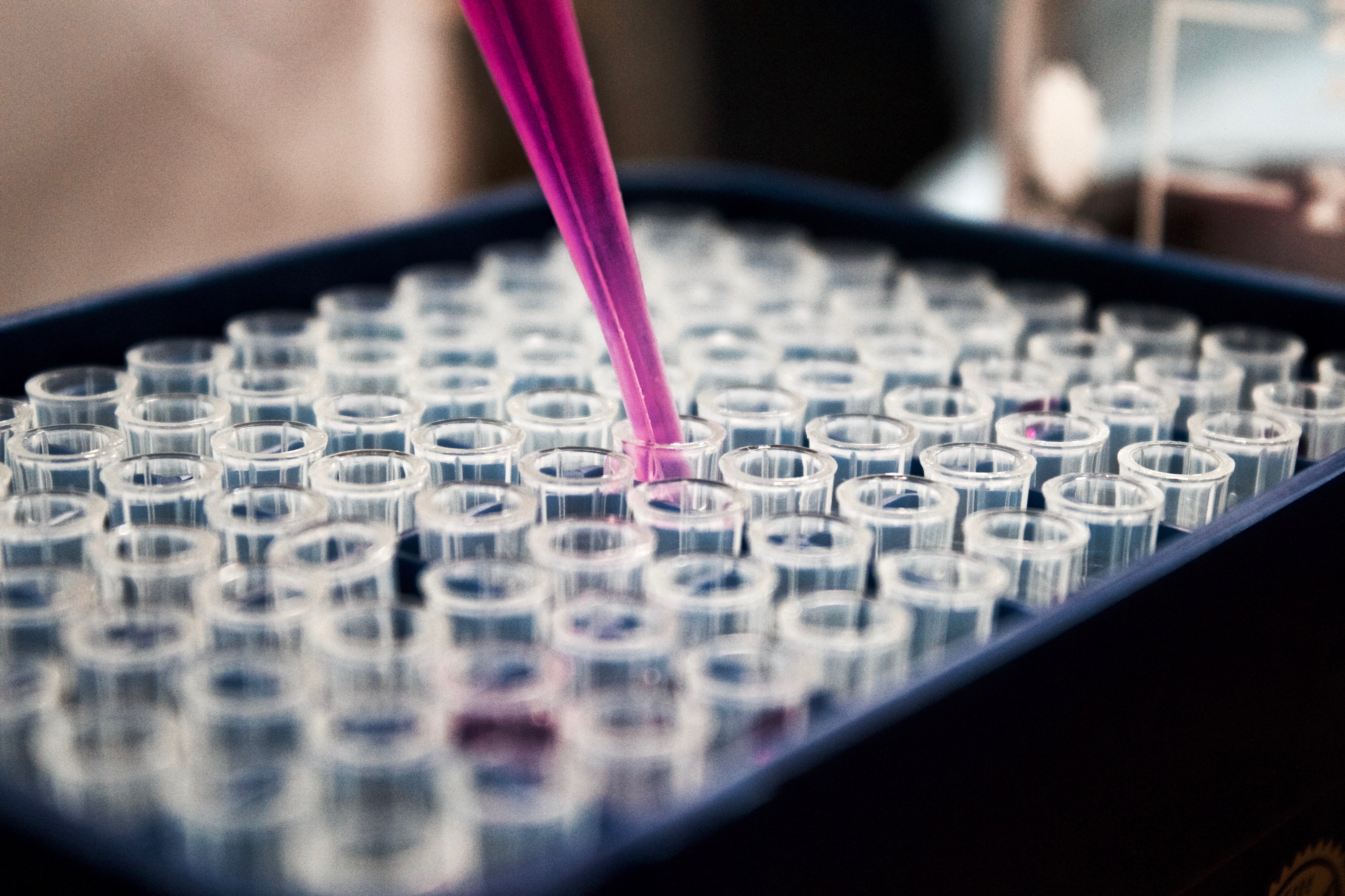 A tray of test tubes being filled with a pipette of pink liquid