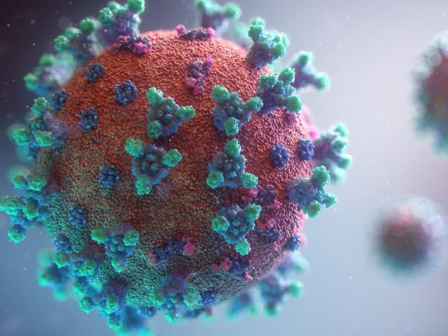 Visualisation of Covid 19 virus